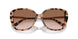 344913 - Tortoise - Brown Pink Gradient