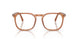 1213 - Brown - Clear