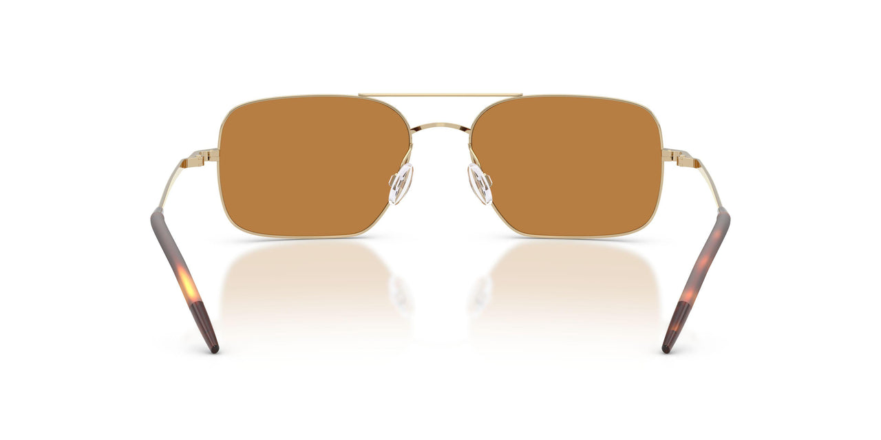 503553 - Gold - Cognac