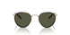 533052 - Tortoise - G-15