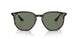 710/M1 - Havana - Photo Clear To Grey/green Quar