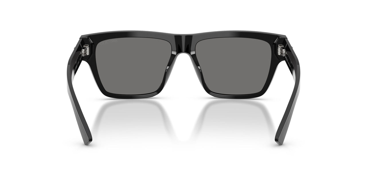 500081 - Black - Polar Dark Gray
