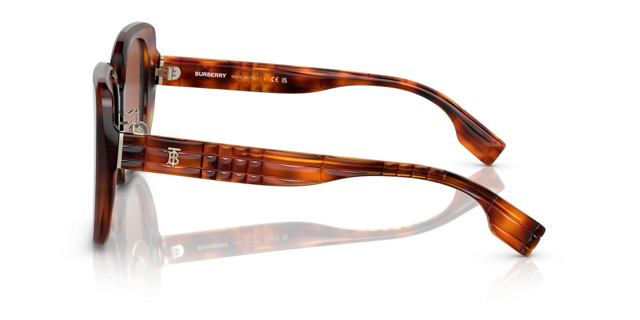 331613 - Havana - Brown Gradient