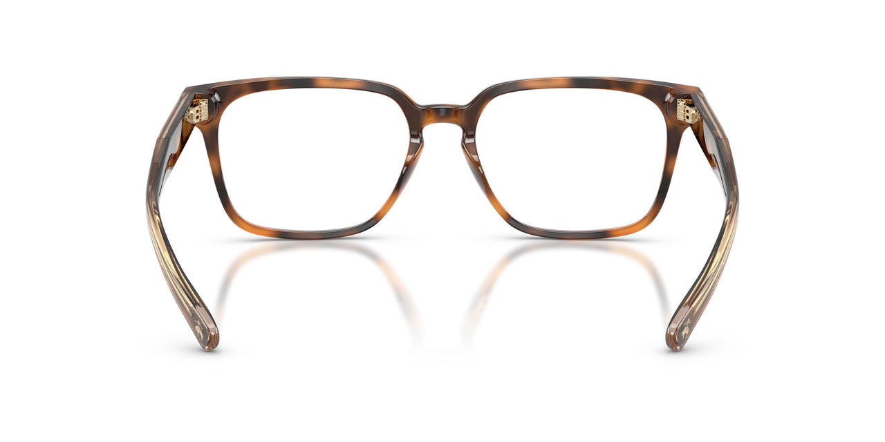 6161 - Tortoise