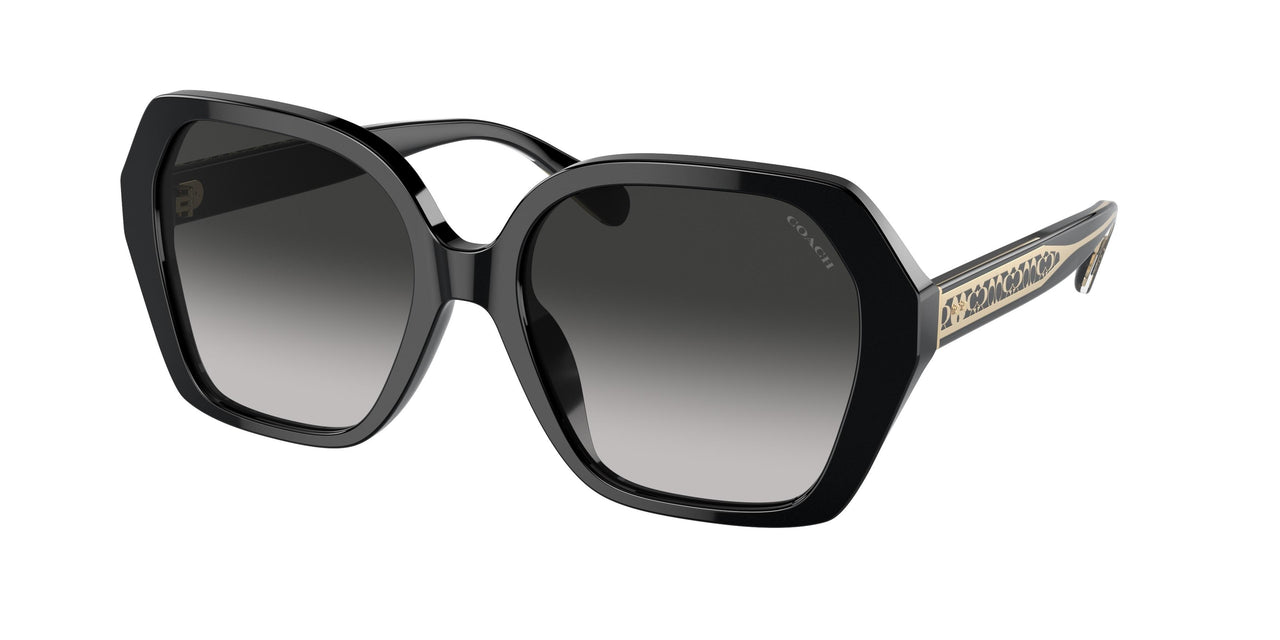 Coach Cr615 8404U Sunglasses