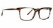 Badgley Mischka BMDONOVAN Eyeglasses