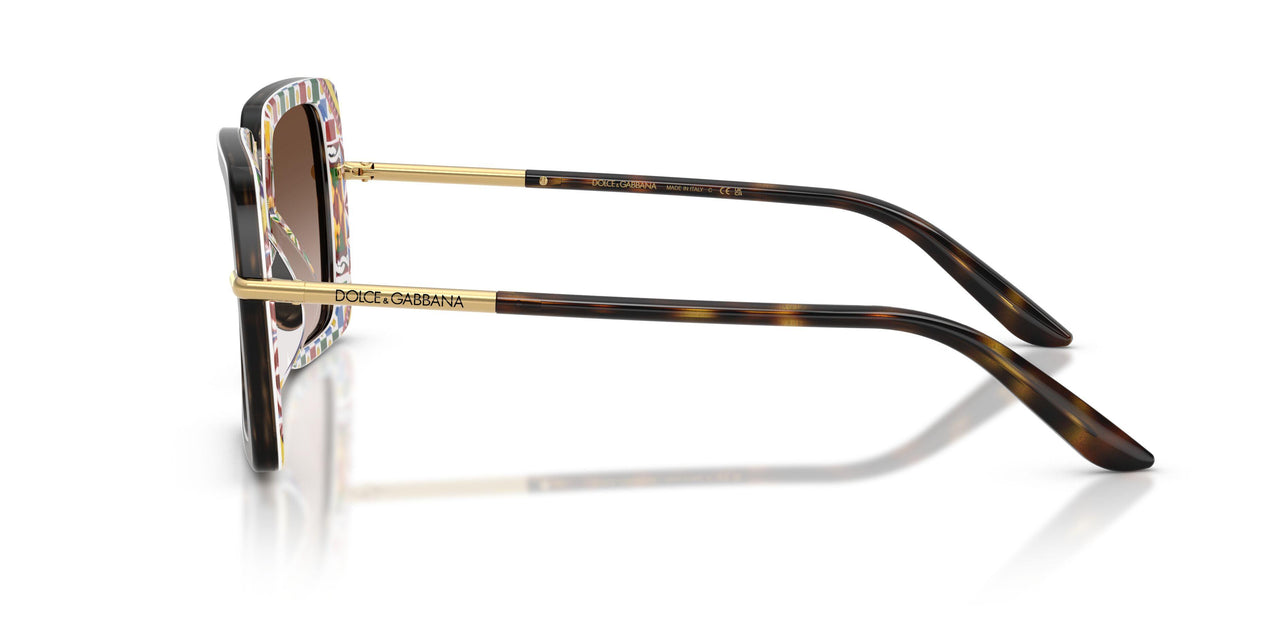 321713 - Tortoise - Brown Gradient