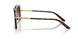 321713 - Tortoise - Brown Gradient