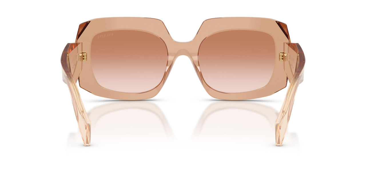 28E50S - Brown - Brown Gradient