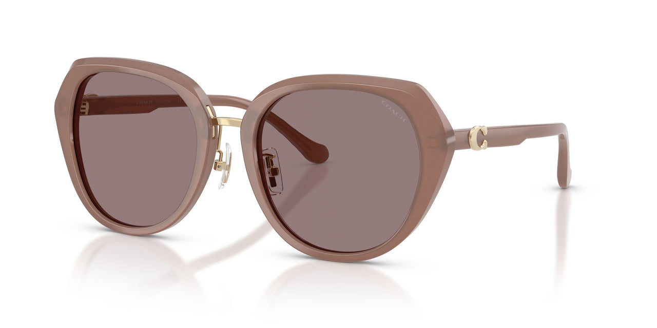 54957N - Brown - Purple Solid