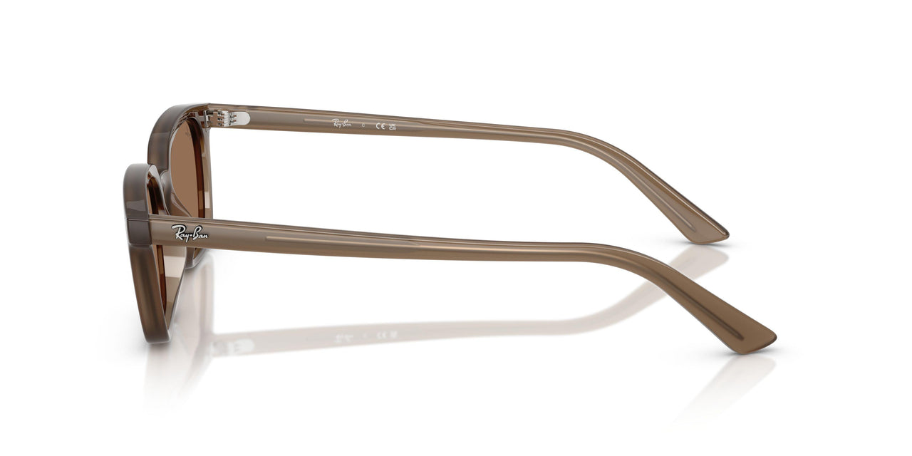 677973 - Brown - Dark Brown