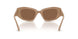355573 - Brown - Brown Solid