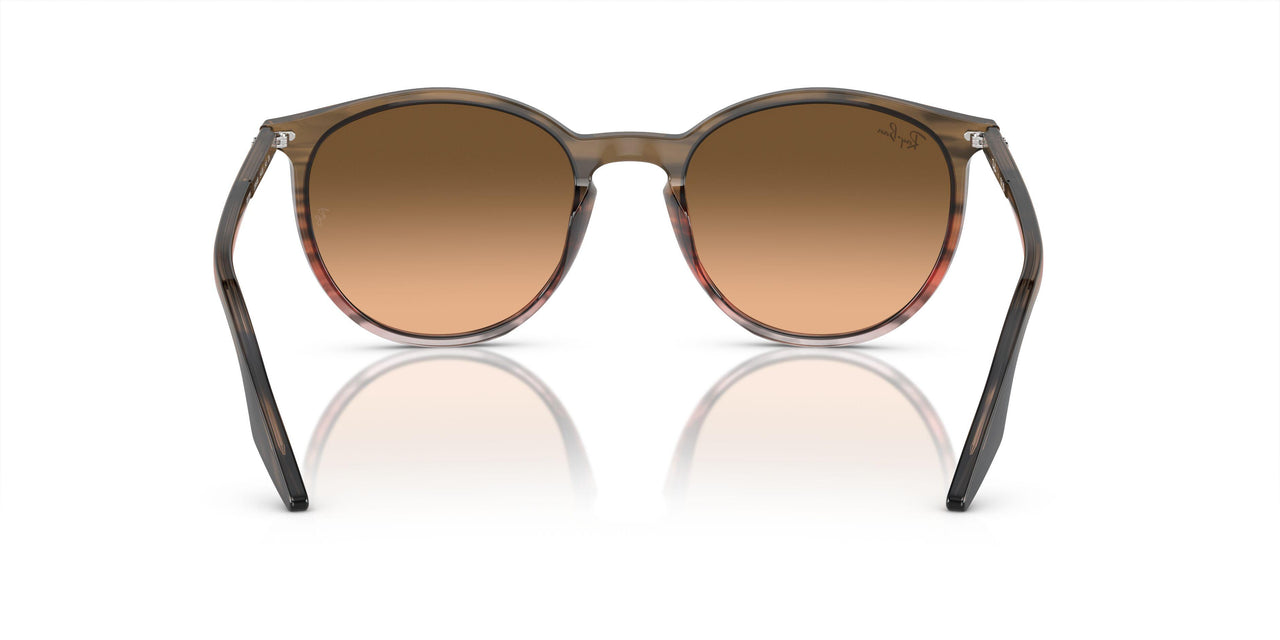 13953B - Brown - Pink/black
