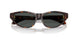 108/87 - Tortoise - Dark Grey