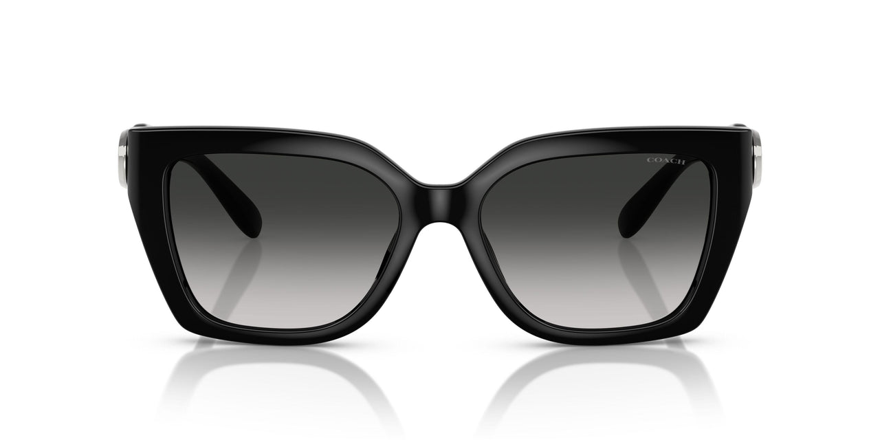 50023C - Black - Grey Gradient