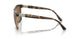 W656T5 - Havana - Polar Grey Gradient Brown
