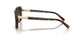84425D - Tortoise - Azure Gradient Brown