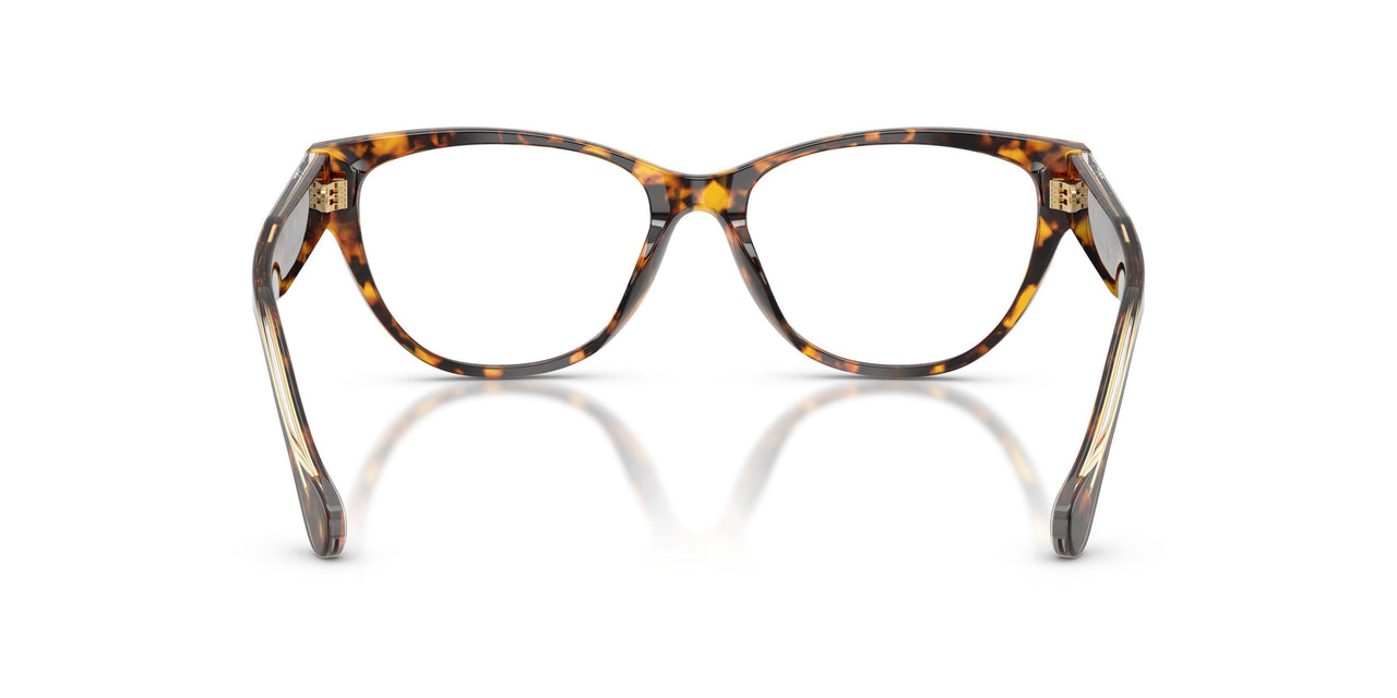 5514 - Tortoise