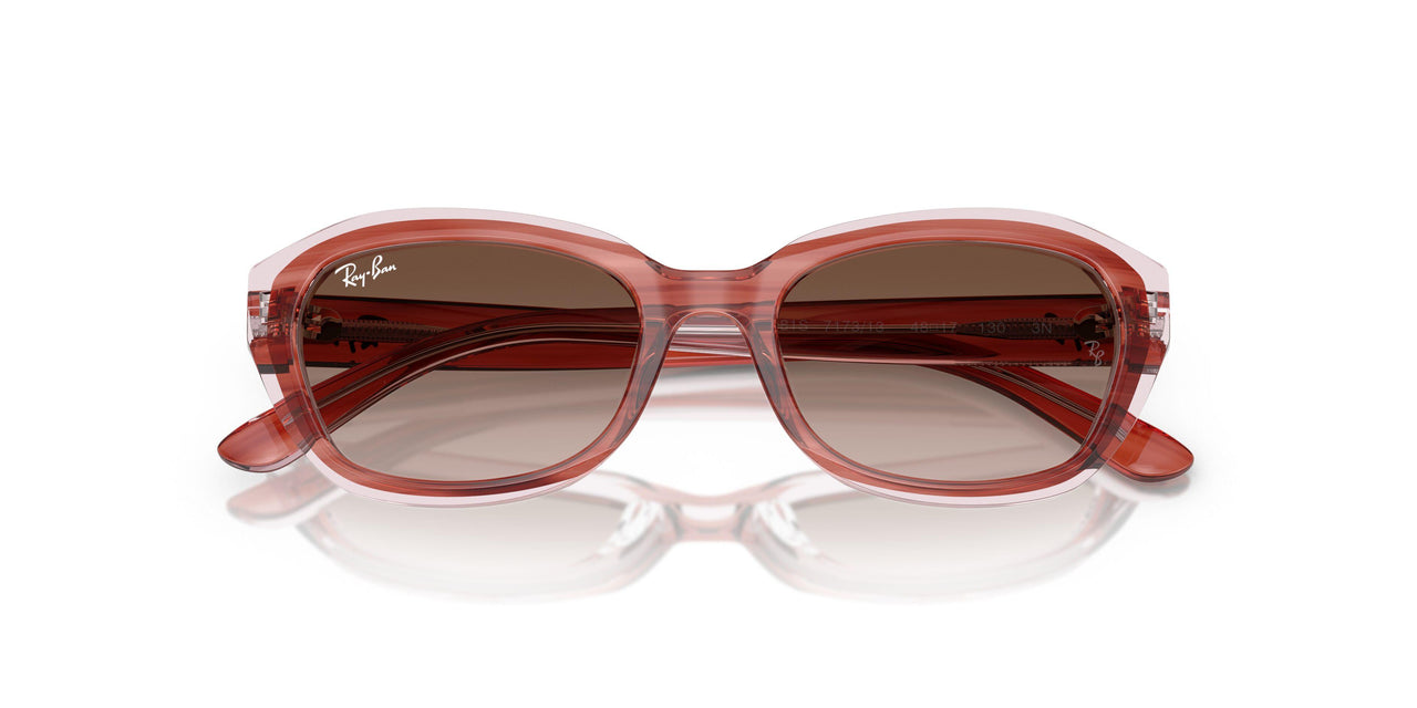 717313 - Pink - Gradient Brown