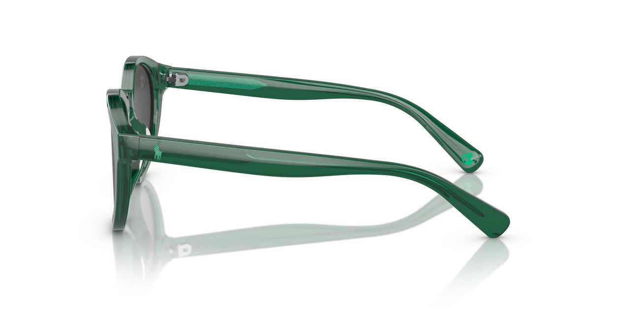 608487 - Green - Dark Grey