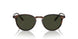 1724P1 - Brown - G-15 Polarized