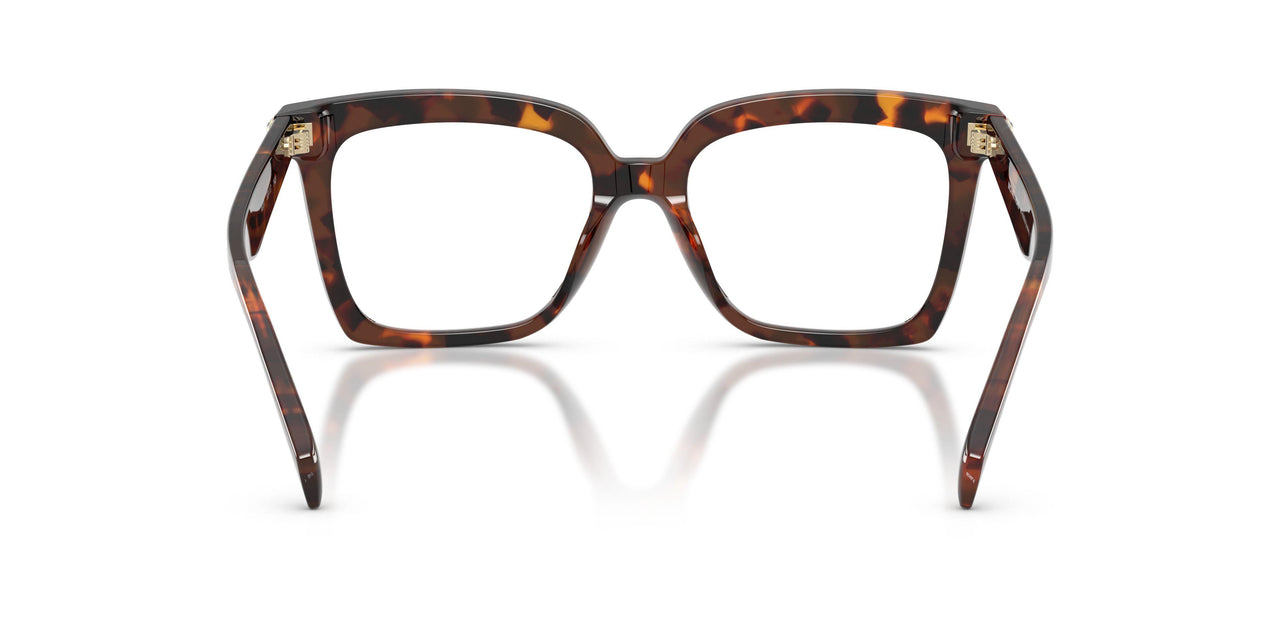 4031 - Tortoise