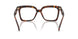 4031 - Tortoise