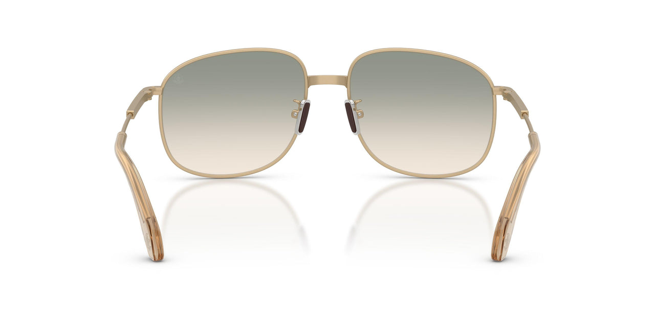 10242C - Gold - Gradient Brown