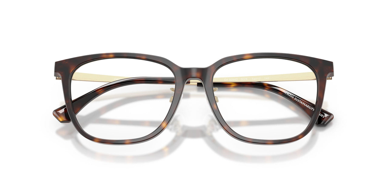 5026 - Tortoise