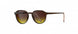 6330 - MORNING COFF./BROWN - SLM Yellow Brown Gradient