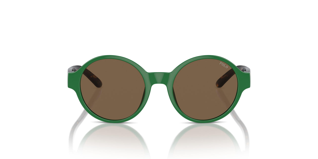 619273 - Green - Brown