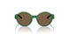 619273 - Green - Brown