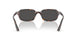 135987 - Tortoise - Dark Grey