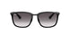 Ray-Ban 4303 Sunglasses