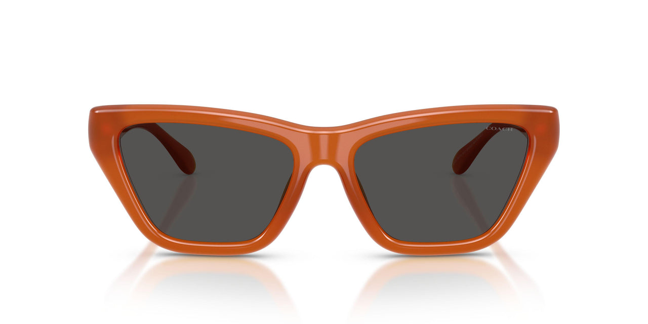 593087 - Orange - Wine Solid