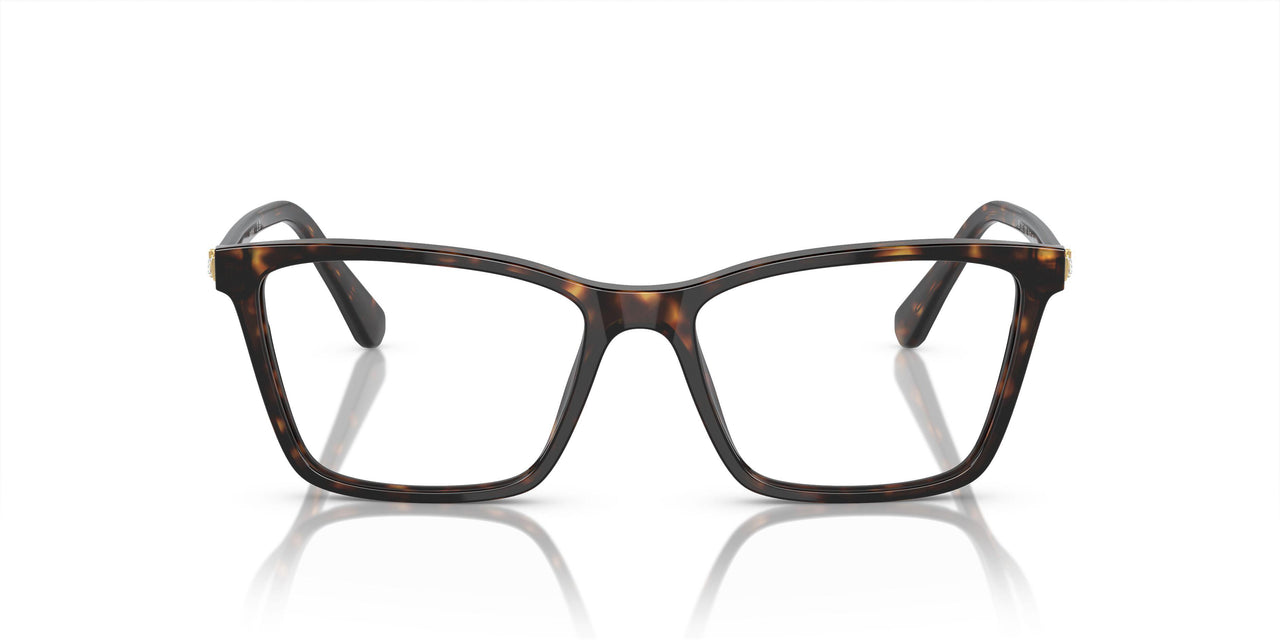 1002 - Brown