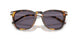 51341A - Tortoise - Purple