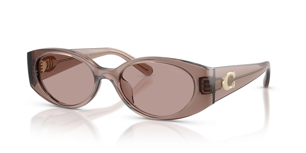 Coach Cfu06 8462U Sunglasses