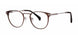 MTTBRWNGNMTL - Matte Brown/Gunmetal