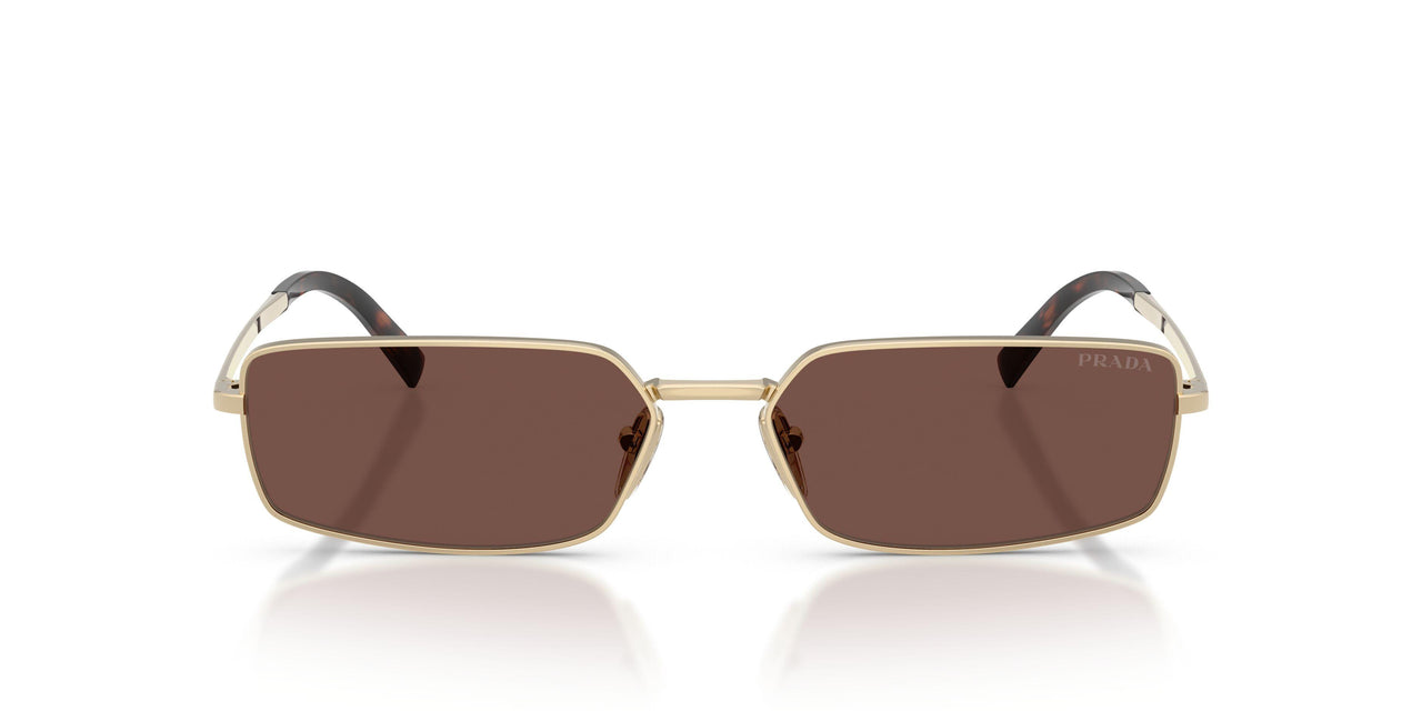 ZVN80T - Gold - Black Chocolate