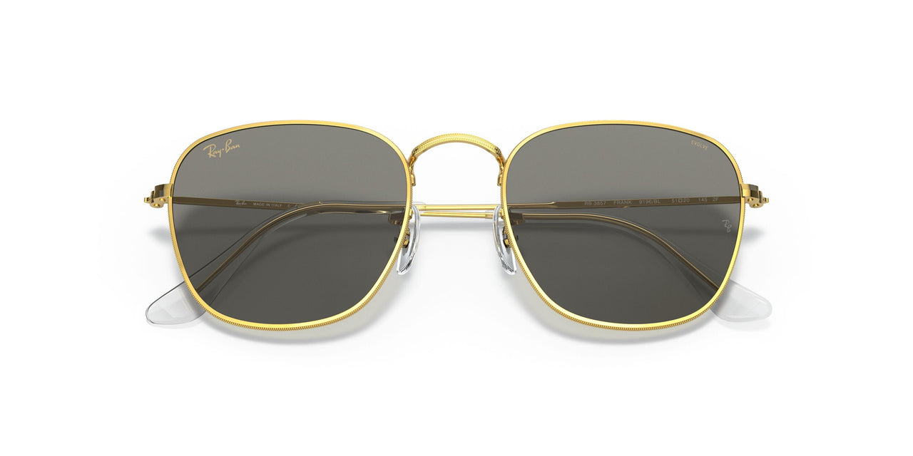 9196BL - Gold - Photo Grey/blue Light Filter