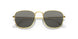 9196BL - Gold - Photo Grey/blue Light Filter