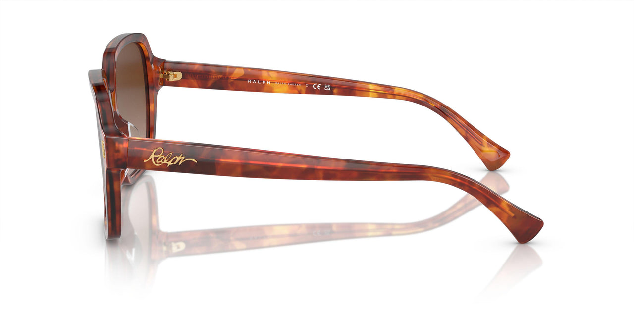 601113 - Orange - Gradient Brown