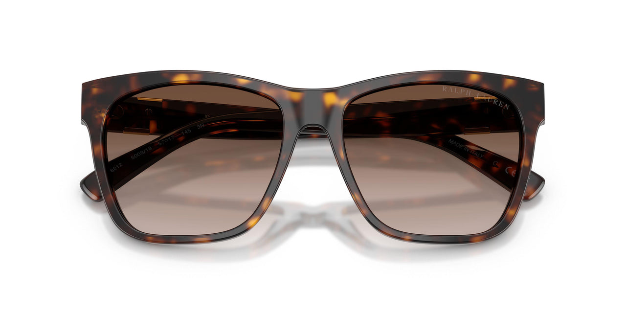 500313 - Tortoise - Gradient Brown