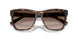 500313 - Tortoise - Gradient Brown