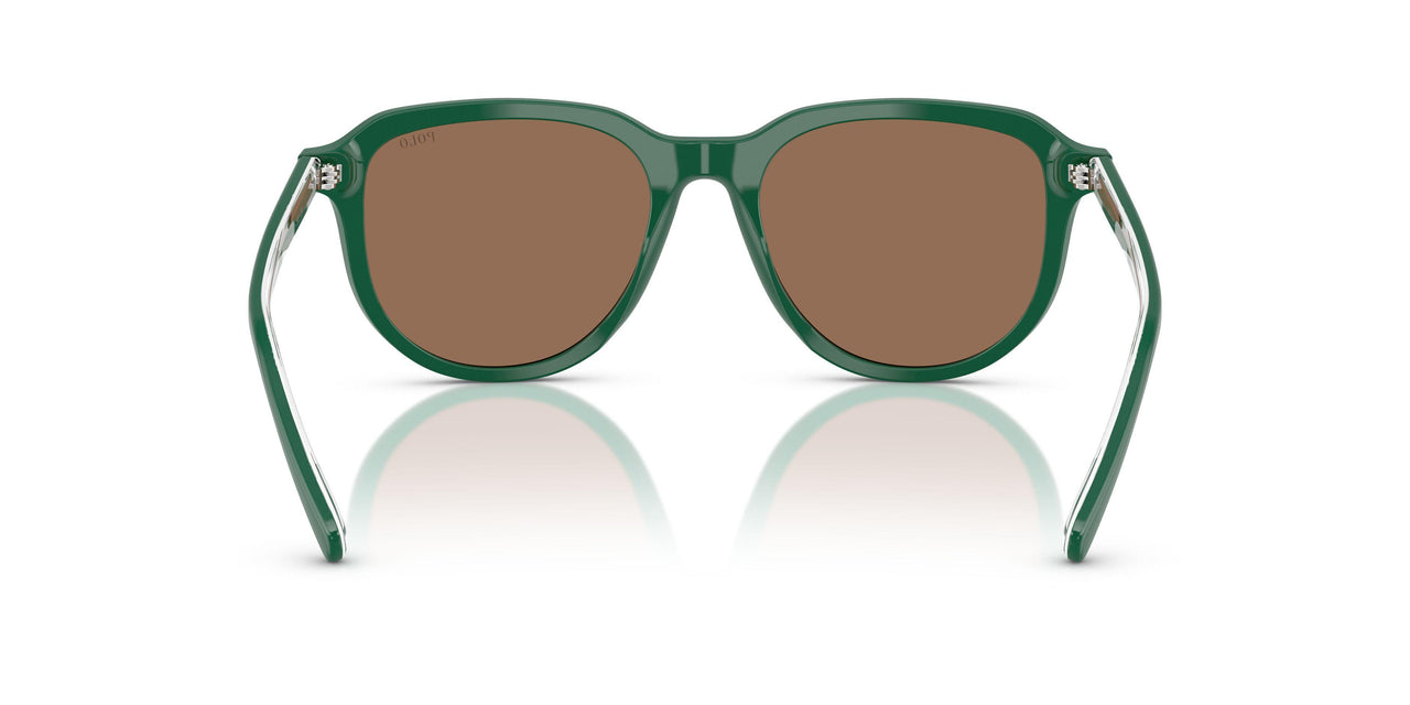 542173 - Green - Dark Brown