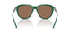 542173 - Green - Dark Brown