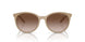 834213 - Brown - Gradient Brown