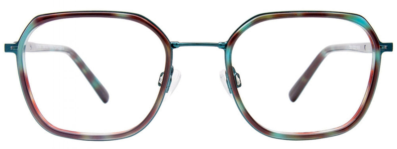 60 - Green Tortoise & Green