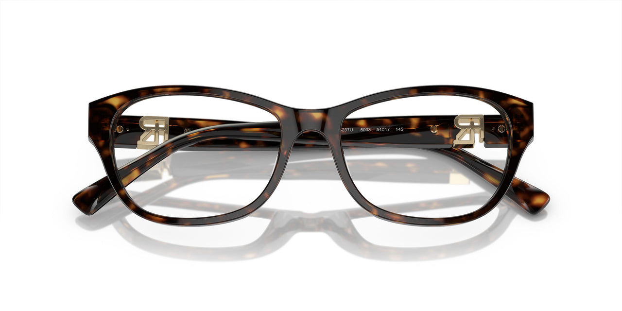 5003 - Tortoise